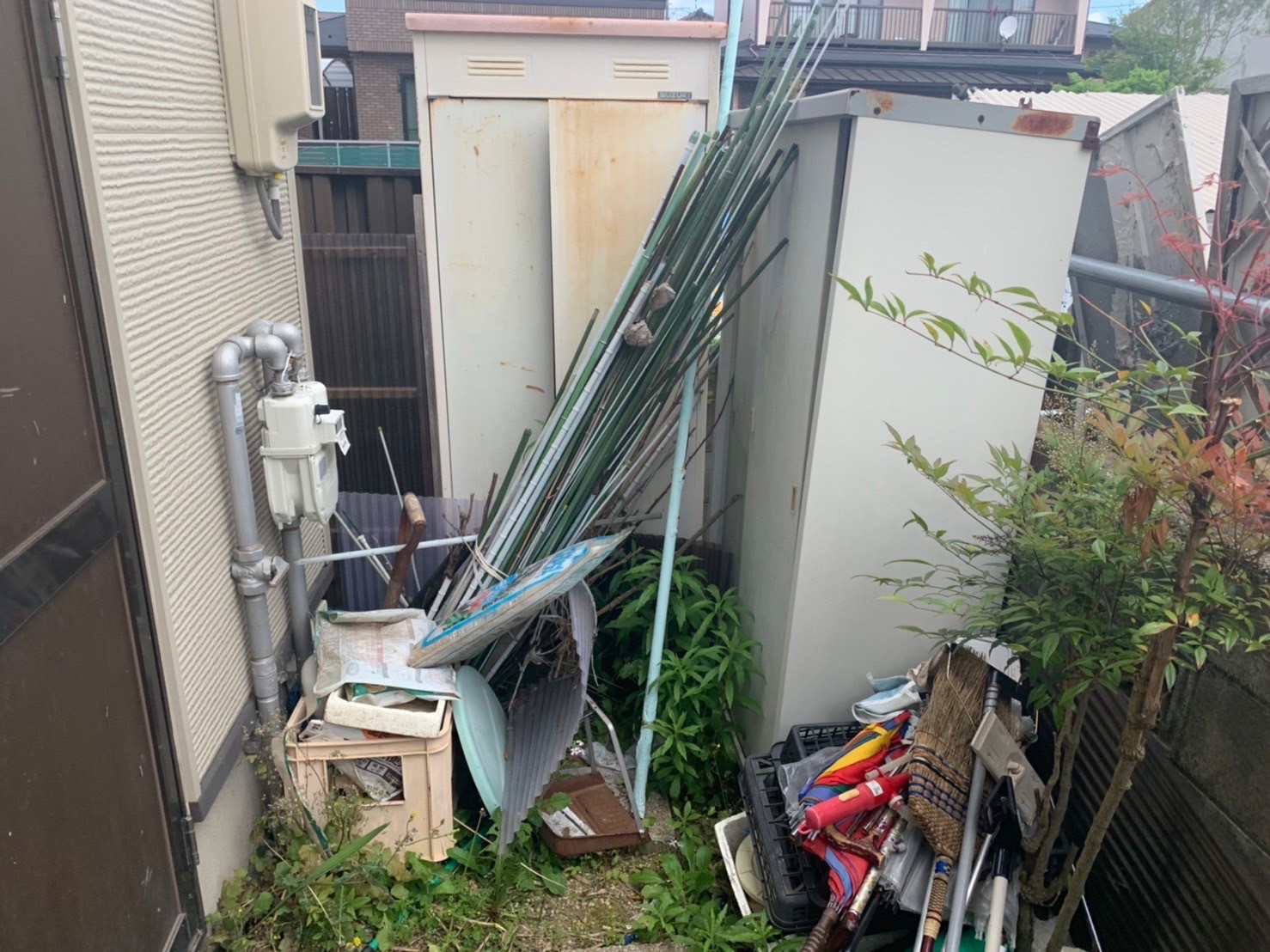 庭木見積もりの様子