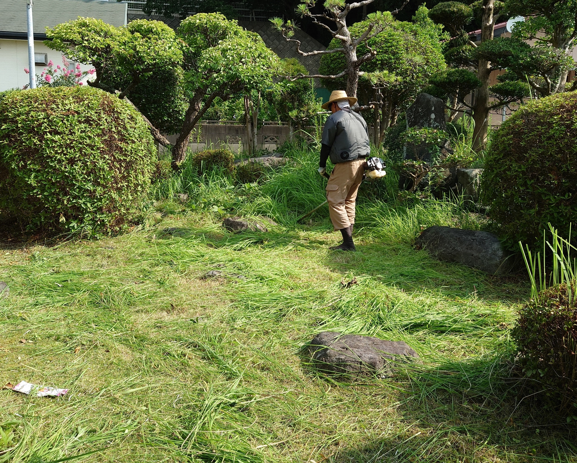 伐採作業の実施