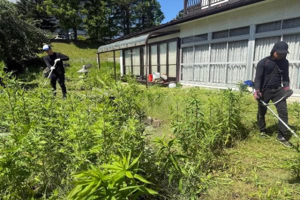 空き家の庭管理