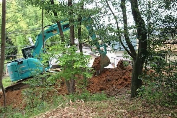 伐根（抜根）作業