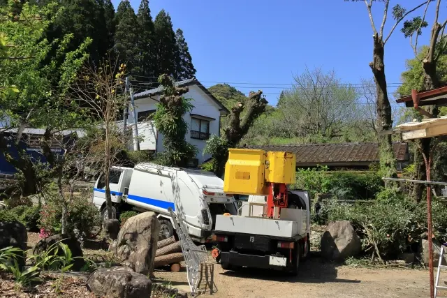 綺麗になったお庭