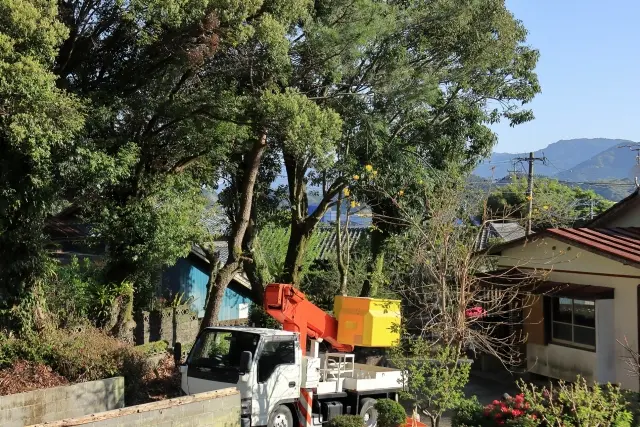 マンションの草刈り作業後