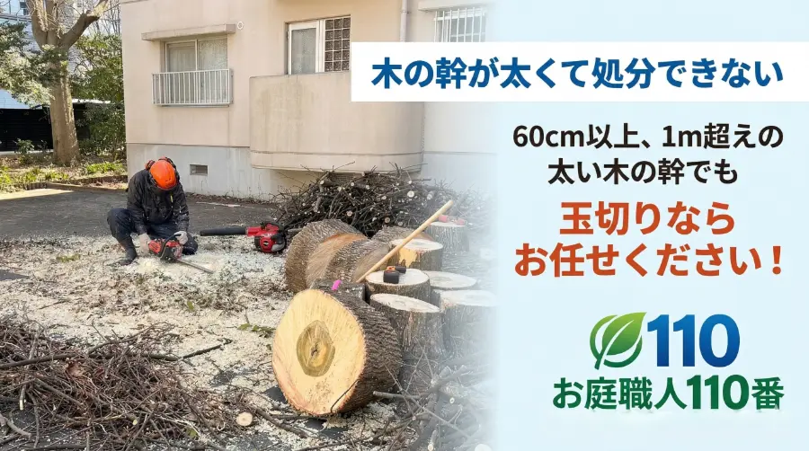 木の幹が太すぎて処分できない