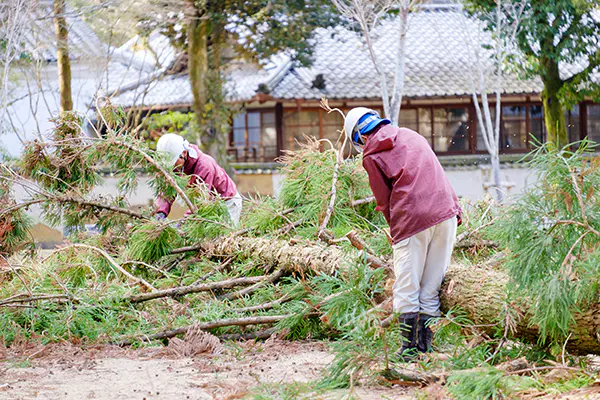お庭手入れなど