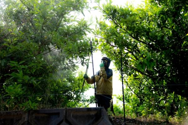 害虫駆除・消毒