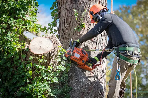 草刈り機での作業風景