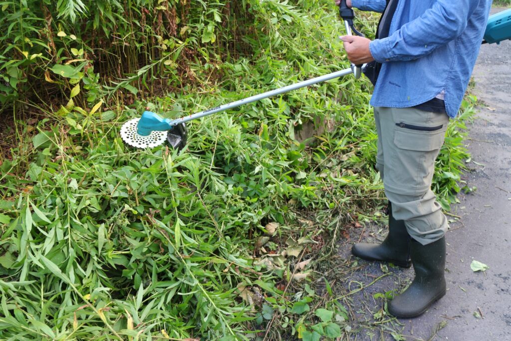 庭木の伐採に悩むお客様