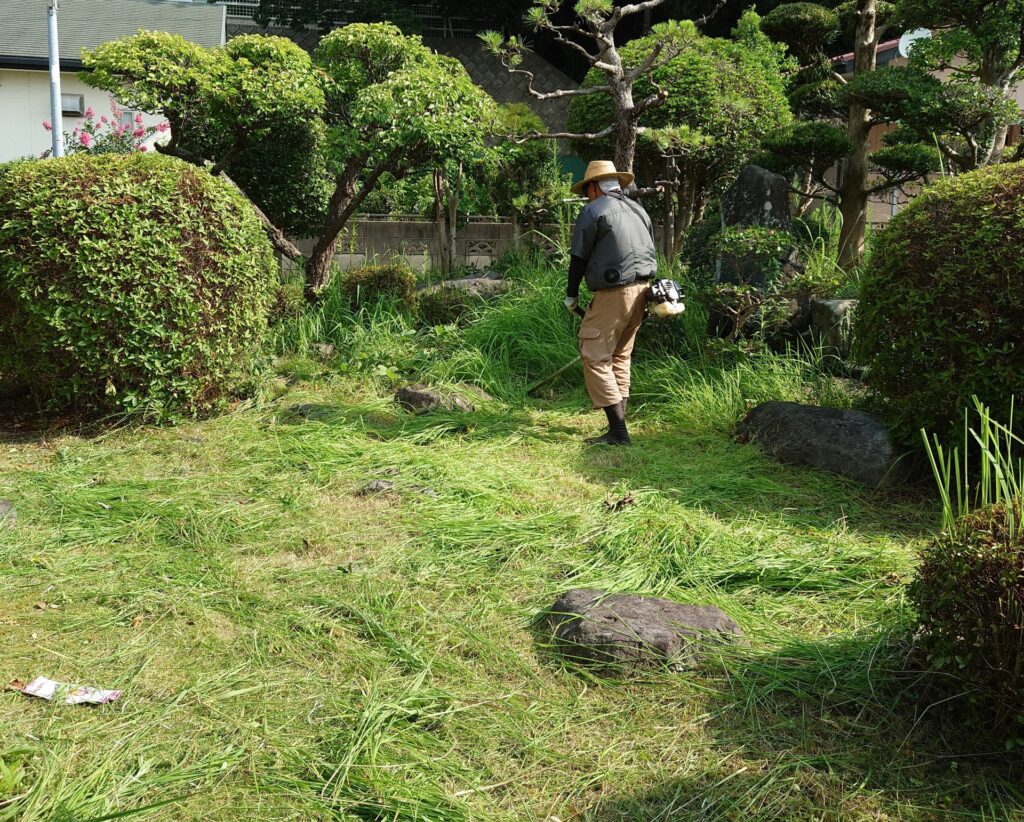 伐採作業の実施