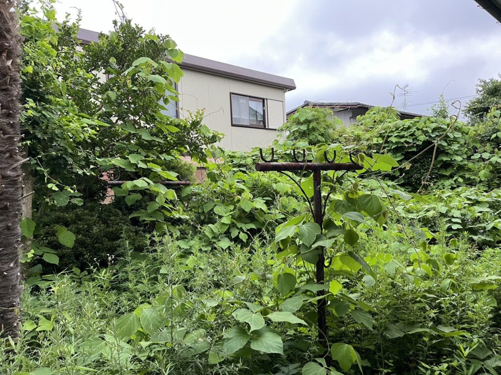 現地調査