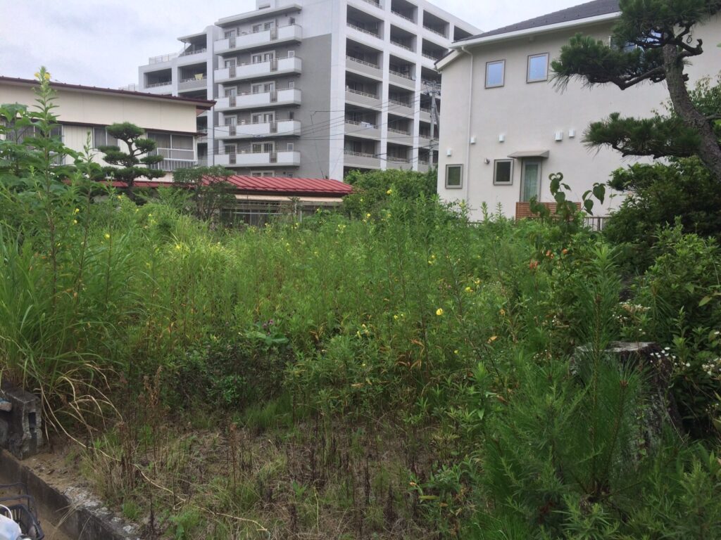 空き地の管理