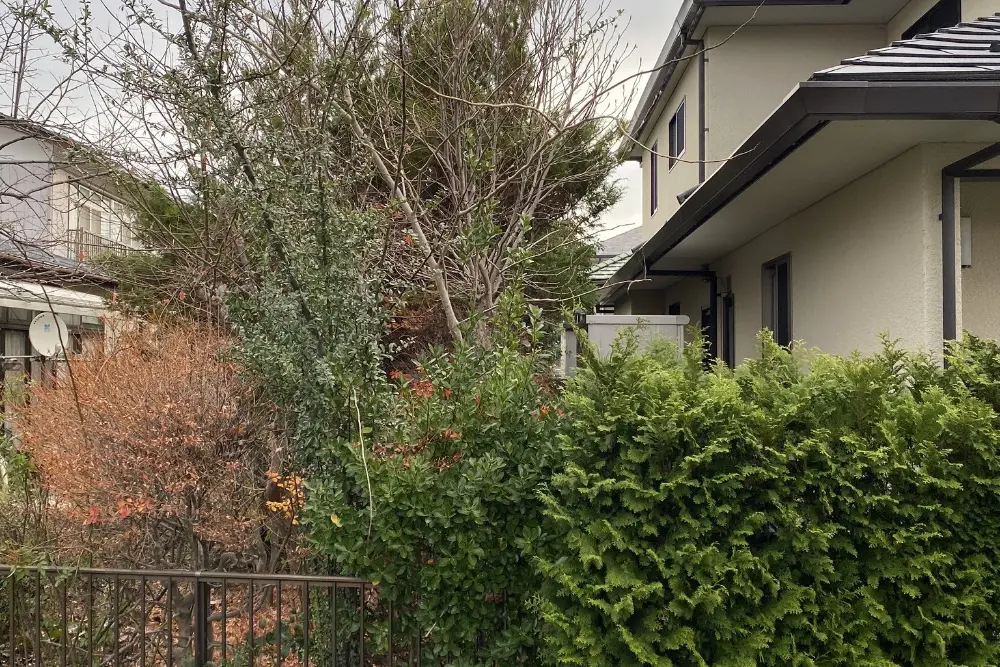 空き家の手入れ