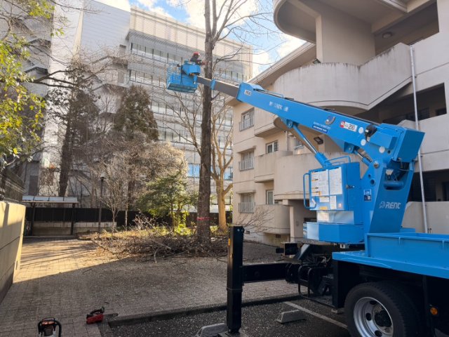 転落事故リスク