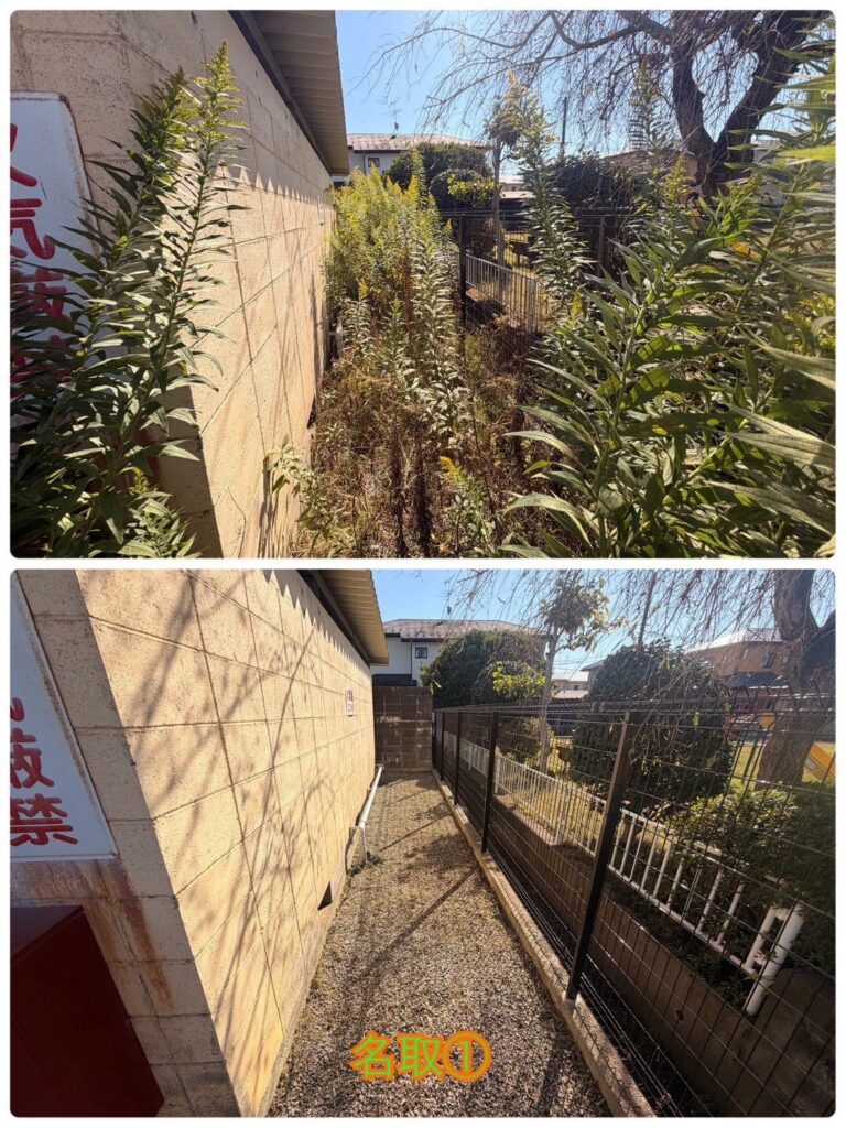 名取市の現場 建物横の通路の除草 作業前(上)と作業後(下)