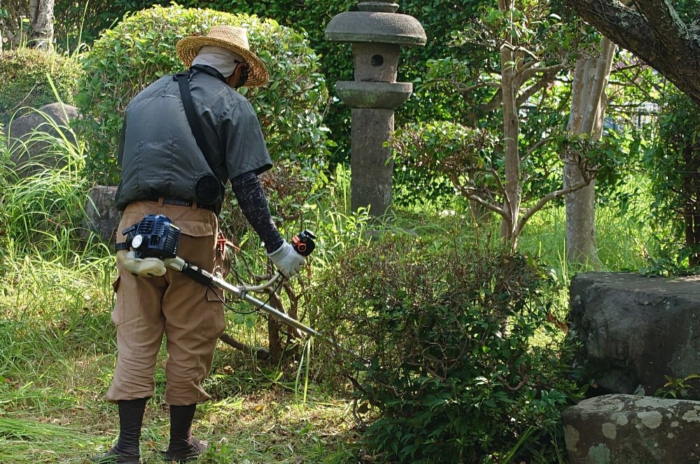 仙台の庭木伐採作業