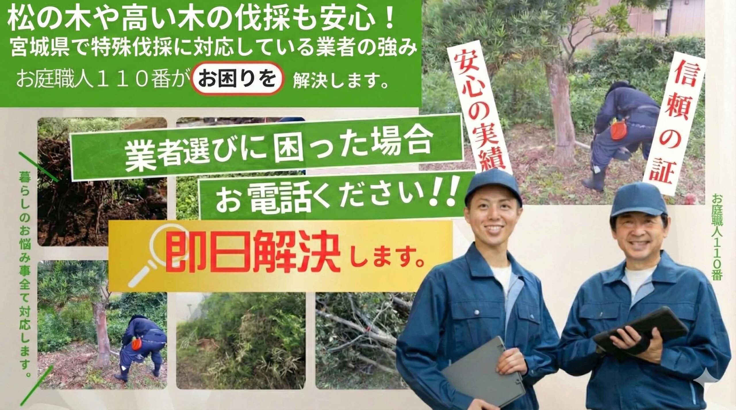 松の木や高い木の伐採も安心！宮城県で特殊伐採に対応している業者の強み