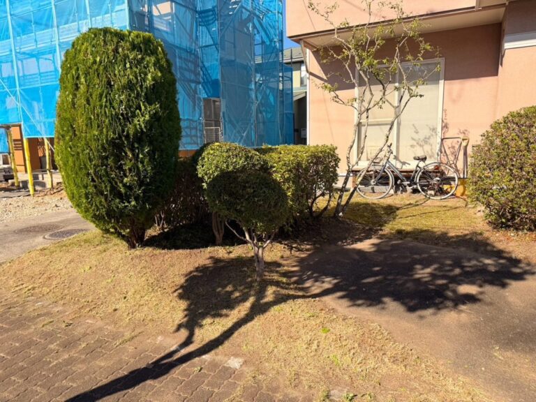 名取市相互台の除草 道路側の角（コニファーまわり）の作業後（除草してすっきりした状態）