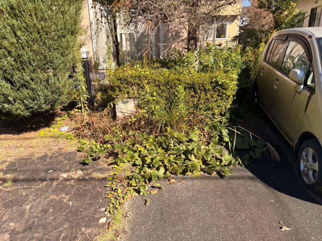 名取市相互台の除草 駐車スペース横の植え込みの作業前(雑草が伸びた状態)