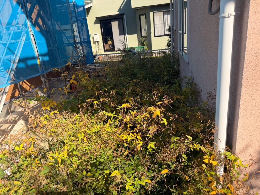 名取市相互台の除草 建物横のスペースの作業前(雑草が伸びた状態)