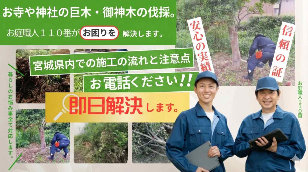 お寺や神社の巨木・御神木の伐採。宮城県内での施工の流れと注意点