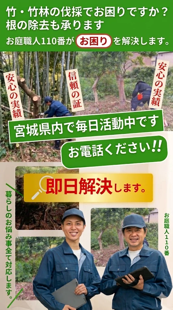 竹・竹林の伐採でお困りですか?根の除去も承ります|お庭職人110番
