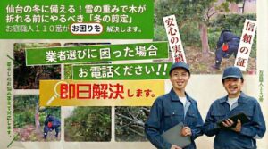 仙台の冬に備える！雪の重みで木が折れる前にやるべき「冬の剪定」